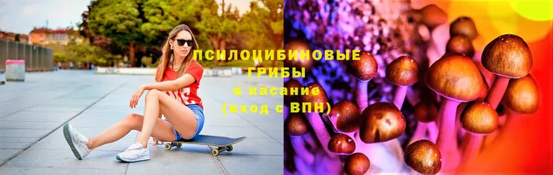 Галлюциногенные грибы ЛСД  Карталы 